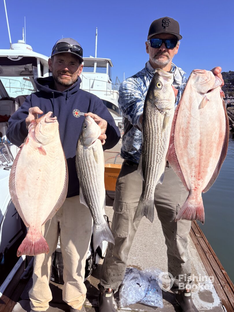 San Francisco Report Photo 0