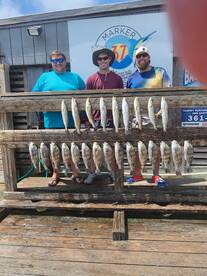 Trout and drum by 10:15 am