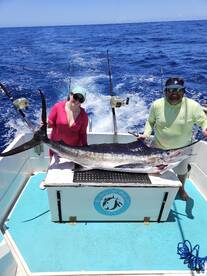 Haleiwa Report Photo 1