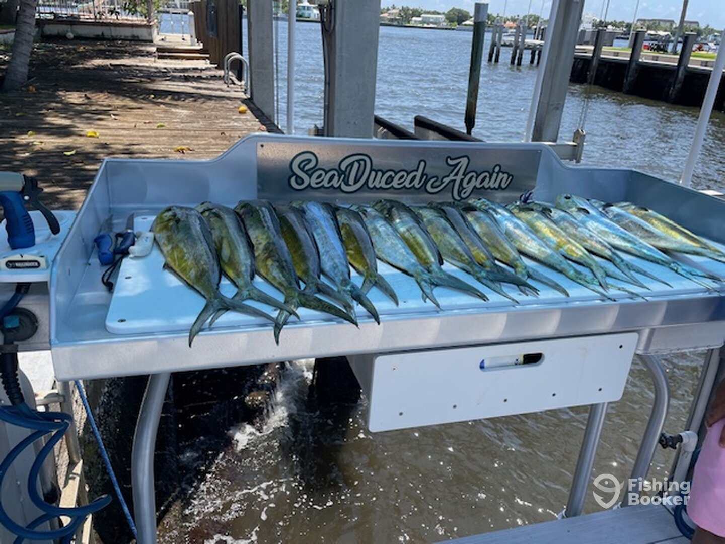 Boynton Beach Report Photo 0