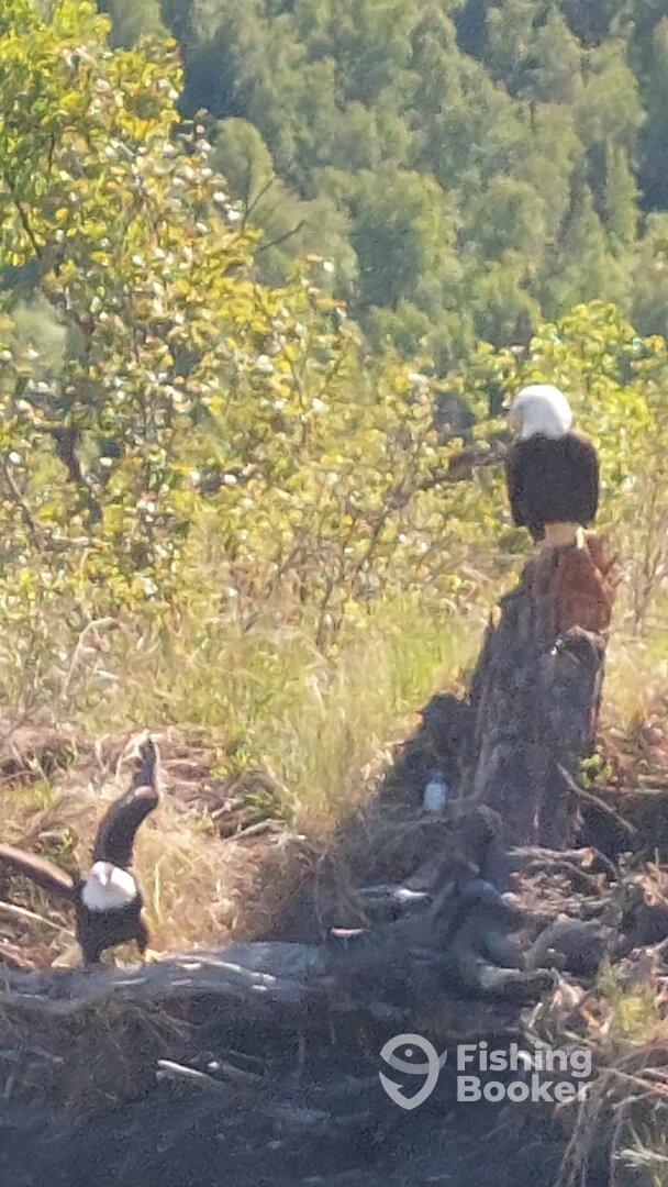 Palmer Report Photo 0