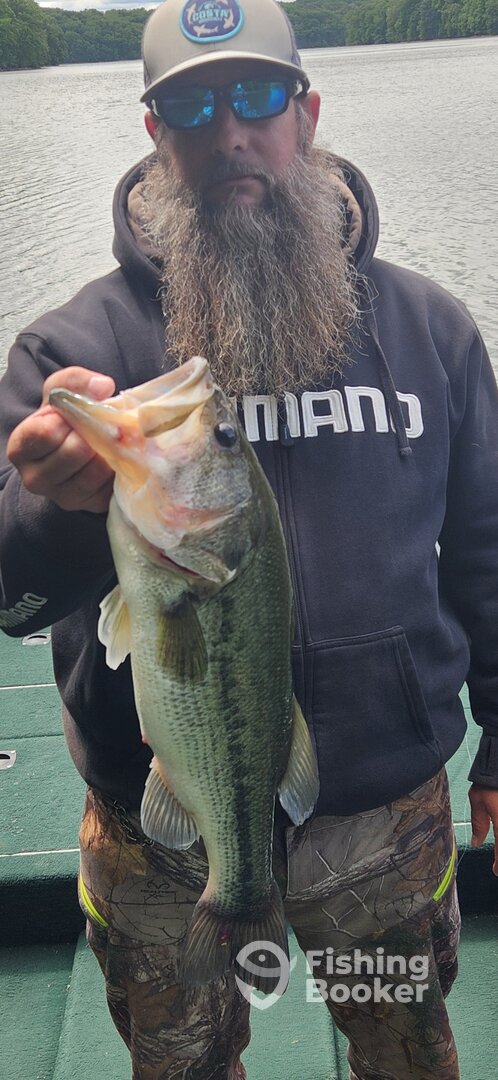 Eldersburg Report Photo 0