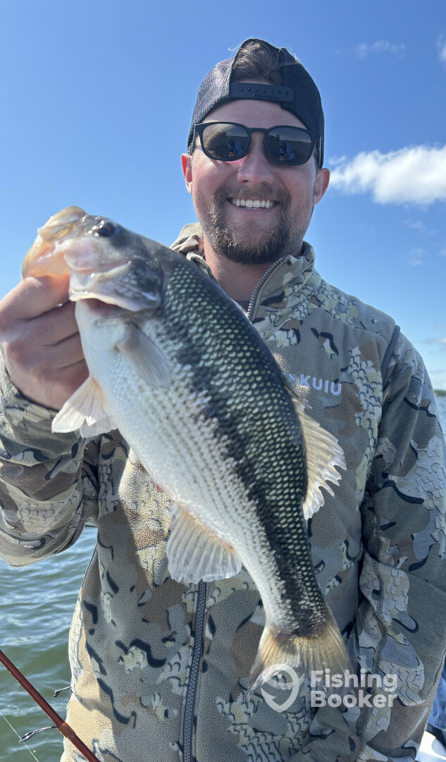 Branson Report Photo 0