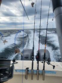 Mahi off edisto