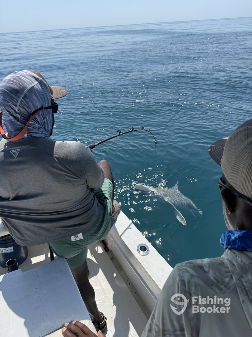 Port Canaveral Report Photo 0