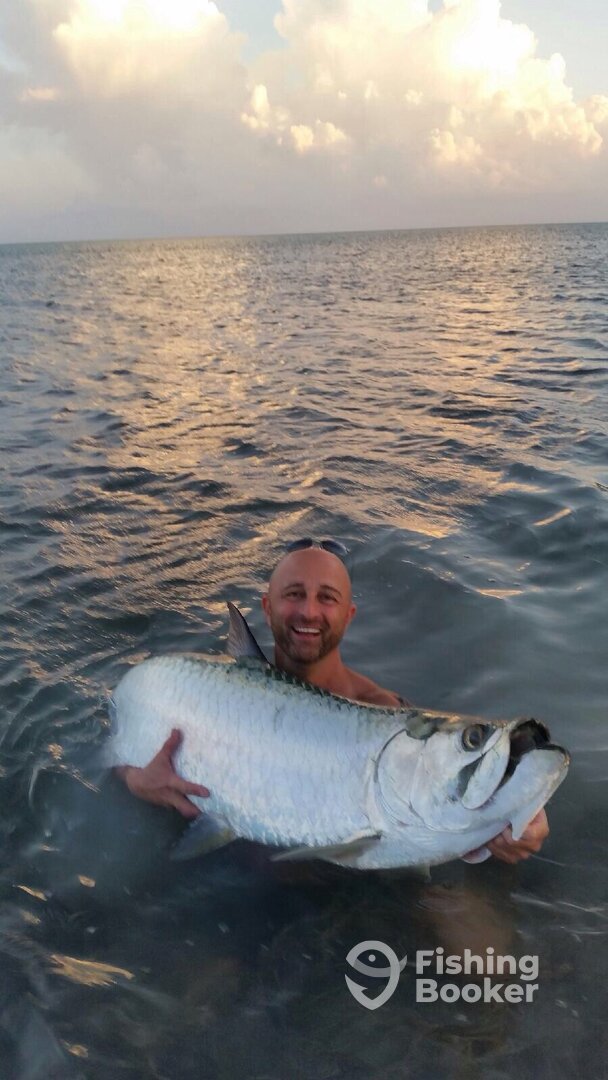 TARPON