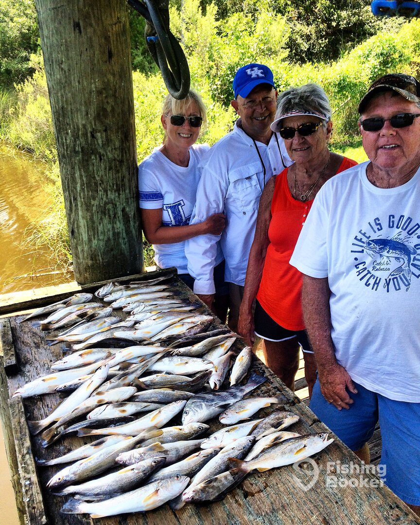 Ocean Springs Report Photo 0