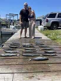 Spanish mackerel and bonita mackerel 