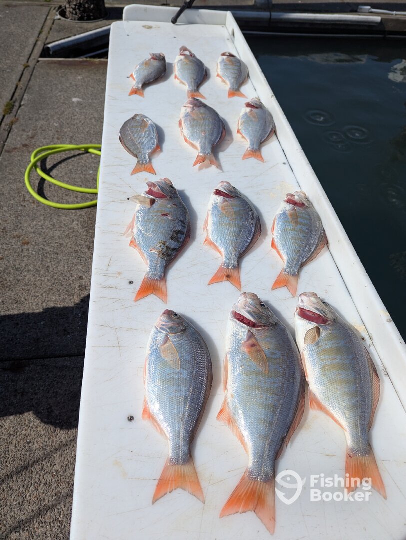 Winchester Bay Report Photo 0