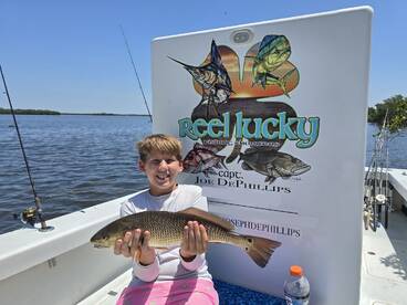 St. Petersburg Report Photo 2