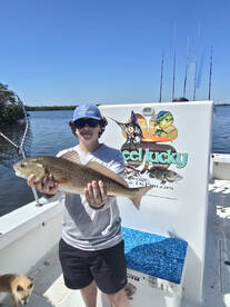 St. Petersburg Report Photo 2