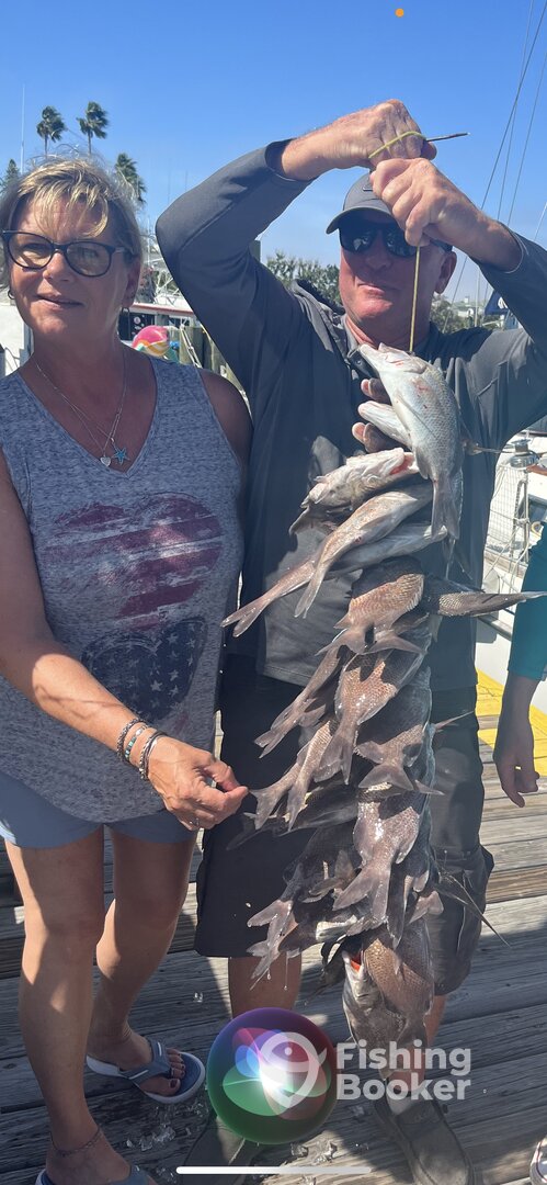 St. Pete Beach Report Photo 0