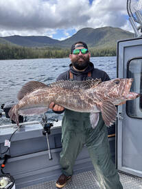 LingCod Fishing