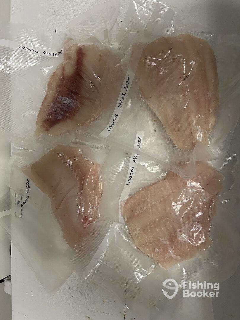 Campbell River Report Photo 0