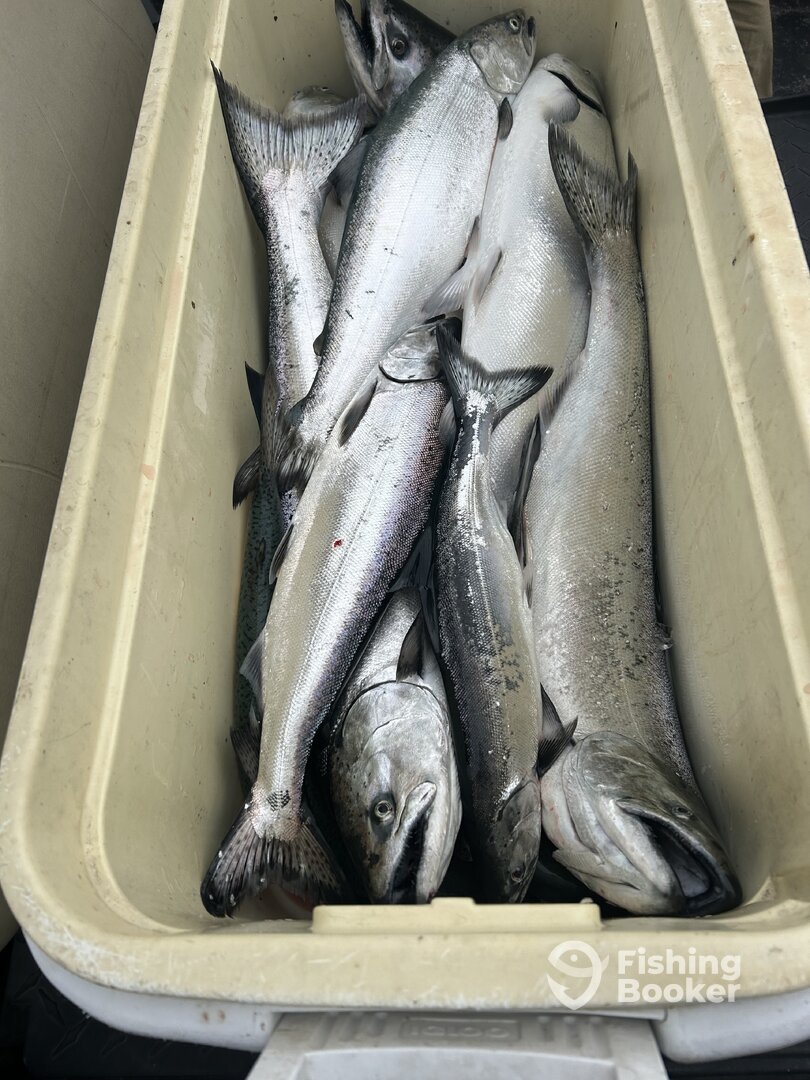 Benton Harbor Report Photo 0