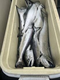 The fishing was on fire from the time we