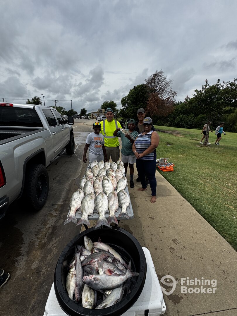 Little Elm Report Photo 0