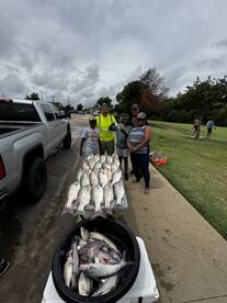 Tug of War: Hybrid Bass on the Hunt