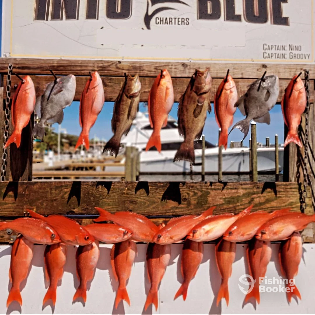 Destin Report Photo 0