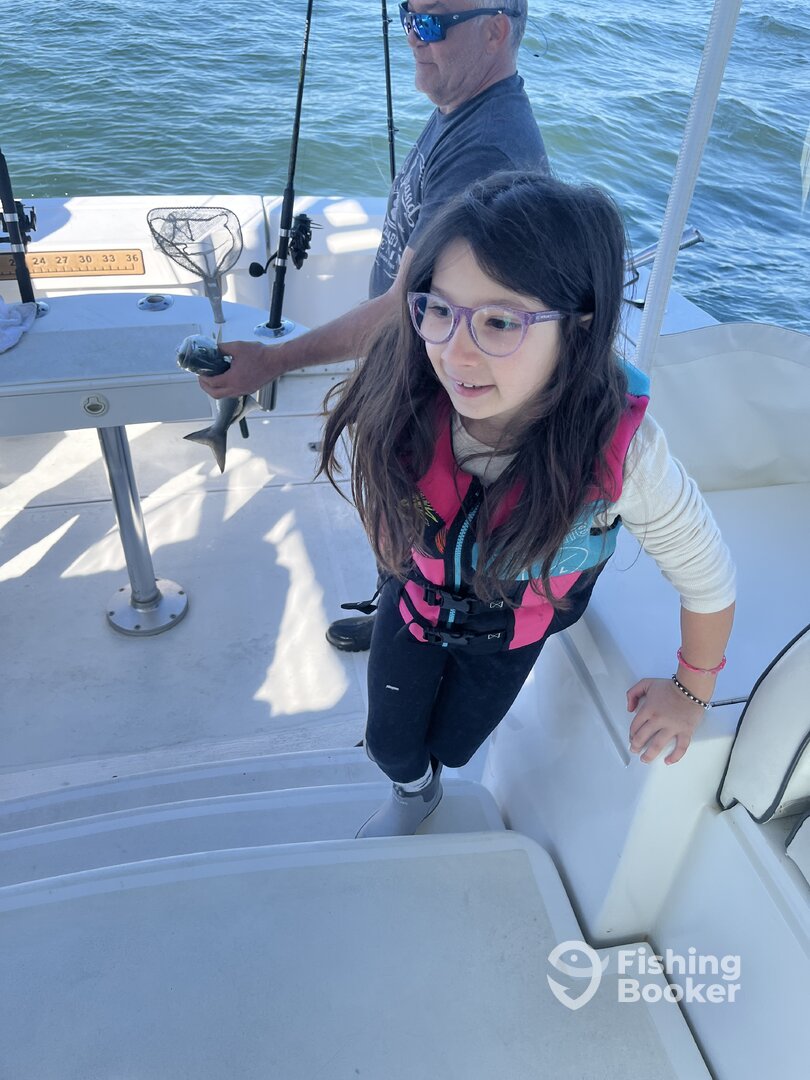 New York City Report Photo 0