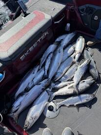 Montague Report Photo 3