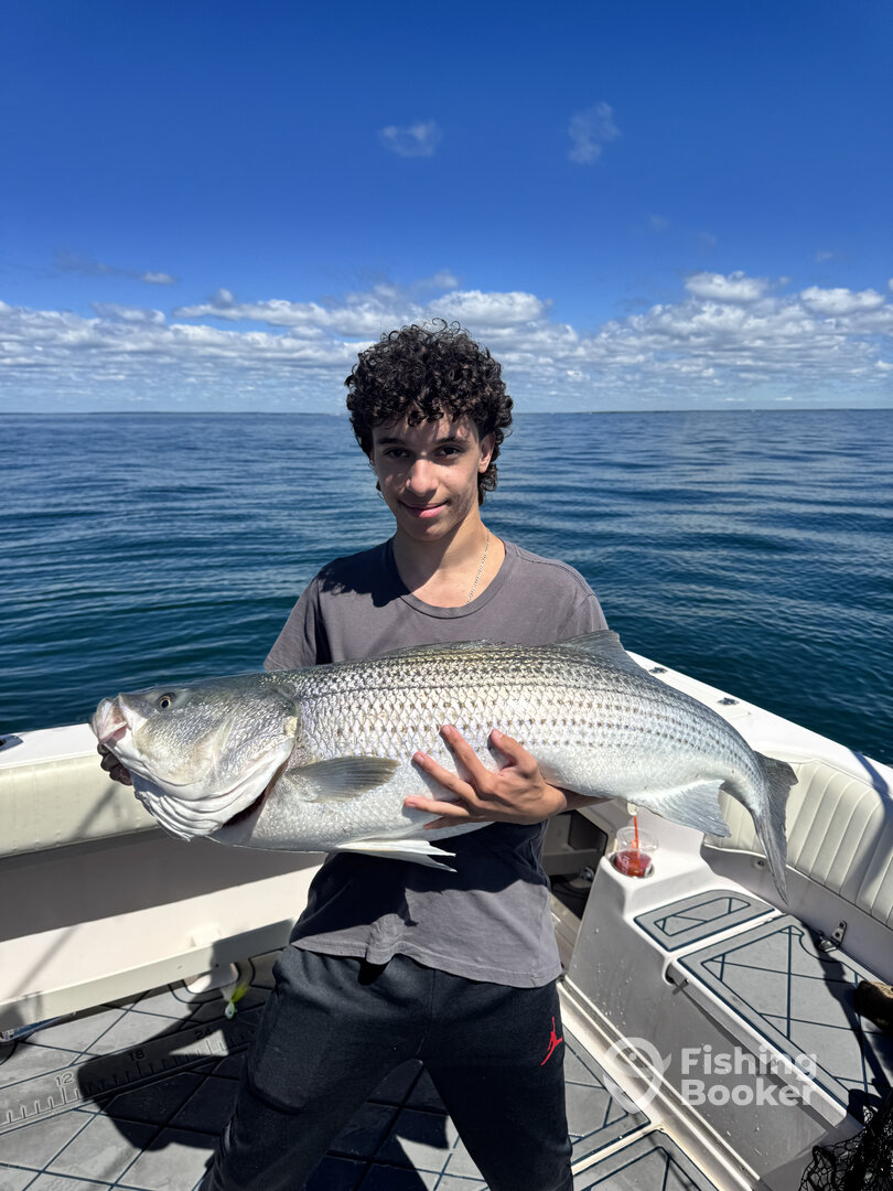 Fairhaven Report Photo 0