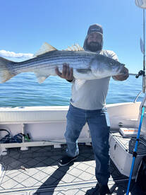 Fairhaven Report Photo 2