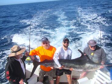 Cabo San Lucas Report Photo 1