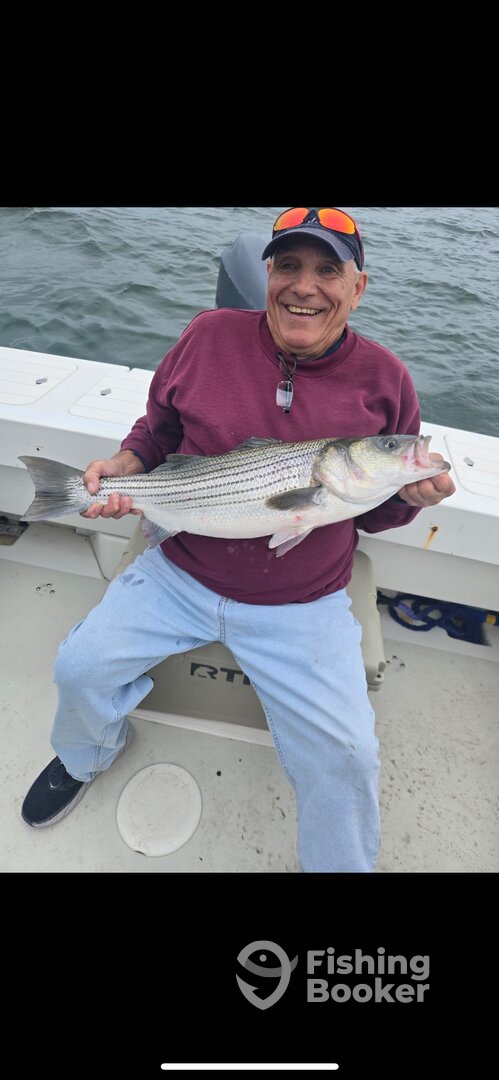 Crisfield Report Photo 0