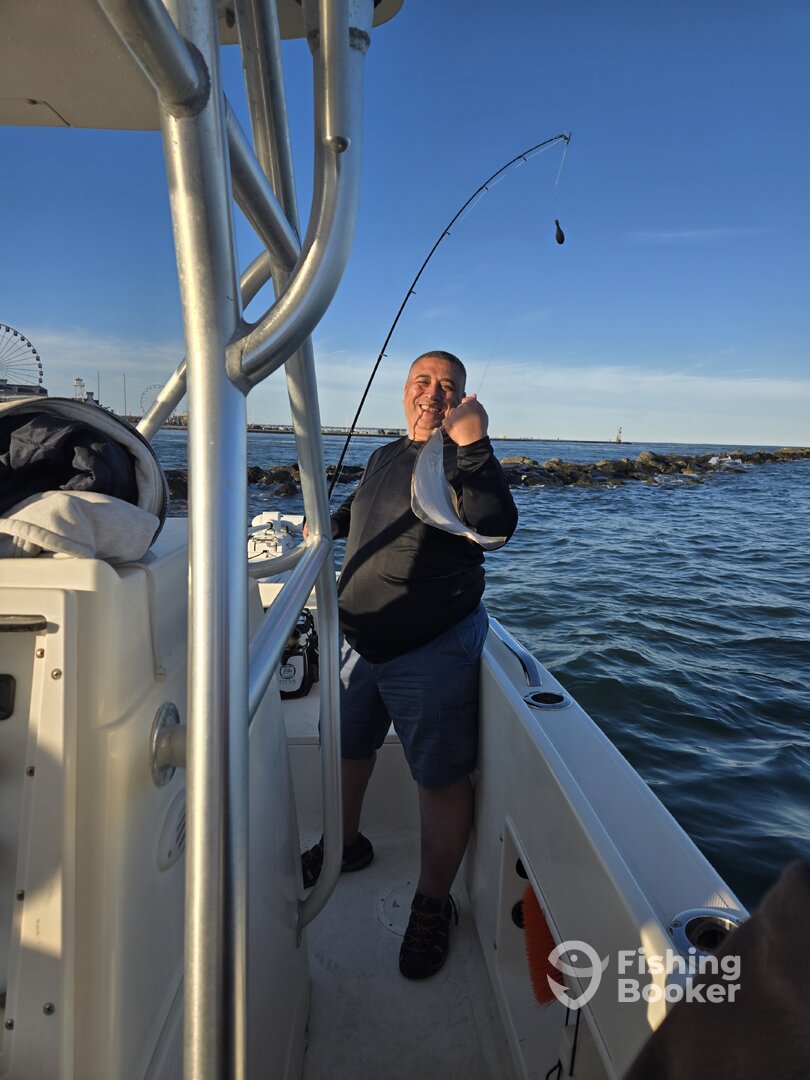 Ocean City Report Photo 0