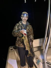 Rochester Report Photo 1