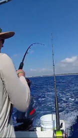 Playa Del Carmen Report Photo 2