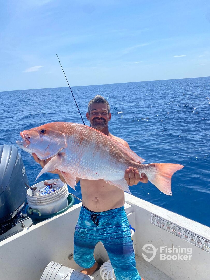 Tampa Report Photo 0