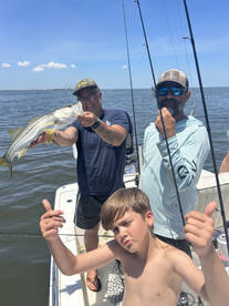 Tampa Report Photo 2