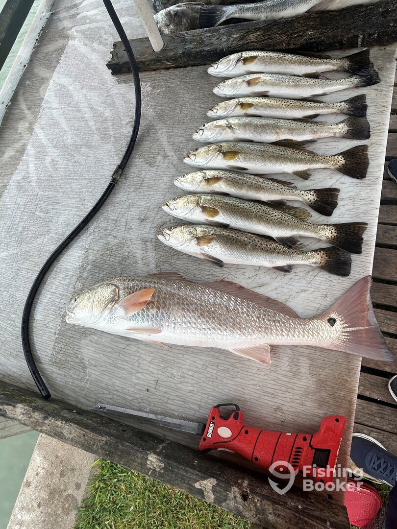 Port Isabel Report Photo 0