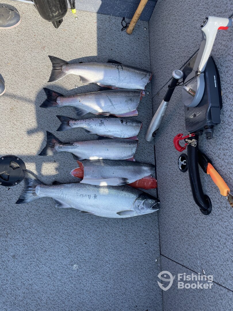 Nanaimo Report Photo 0