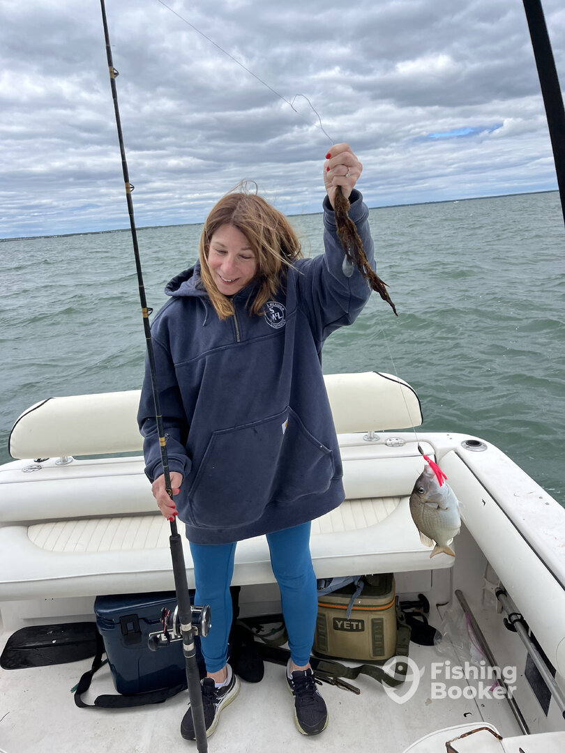 Dennis Report Photo 0