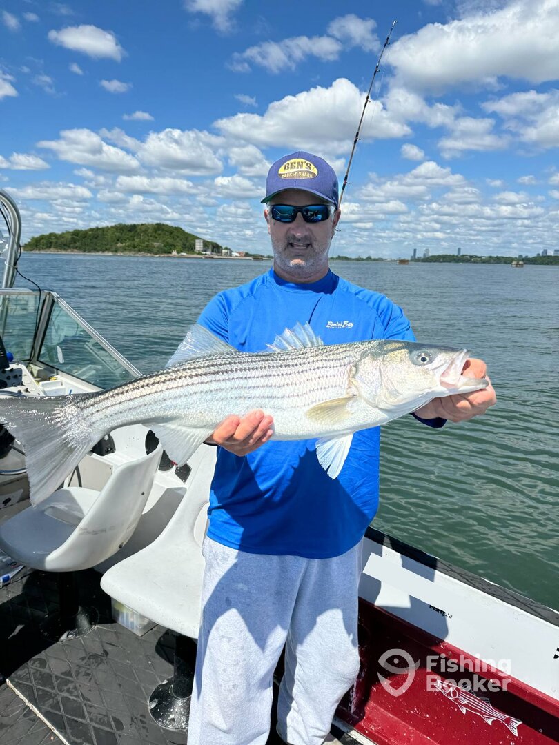 Boston Report Photo 0