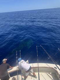 Kailua-Kona Report Photo 2