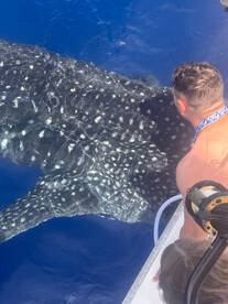 Kailua-Kona Report Photo 1