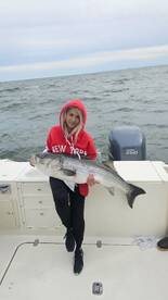 More May striped bass .. trophy striped 