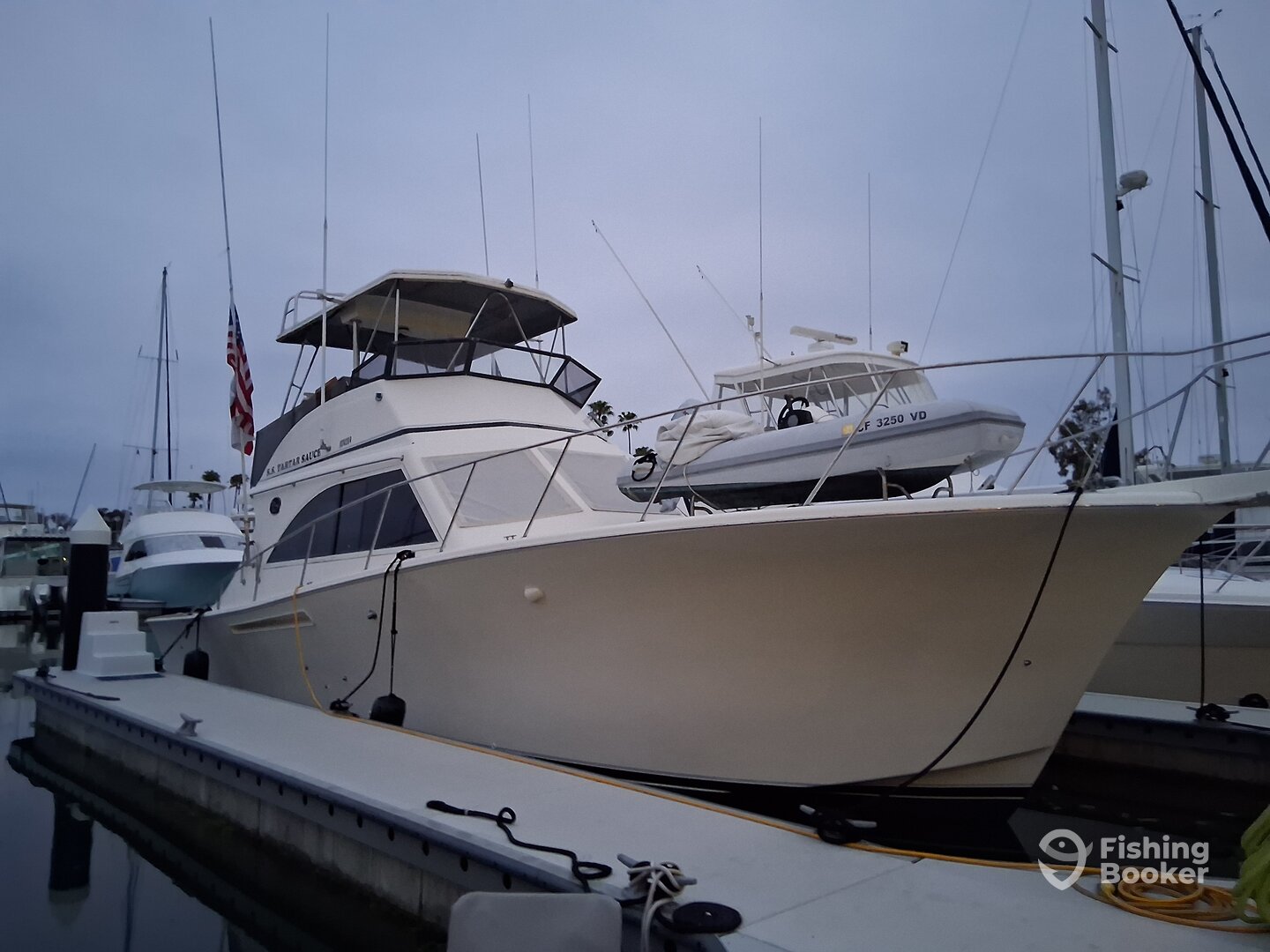 Dana Point Report Photo 0