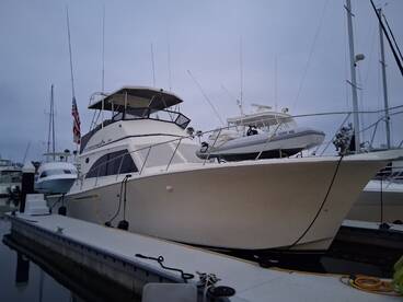 First Mako Shark of the season. Bass and