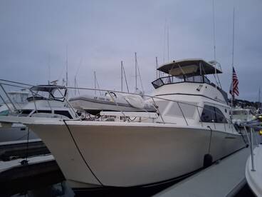 Dana Point Report Photo 2