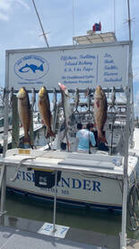Fish-Finder catching reds and sharks 