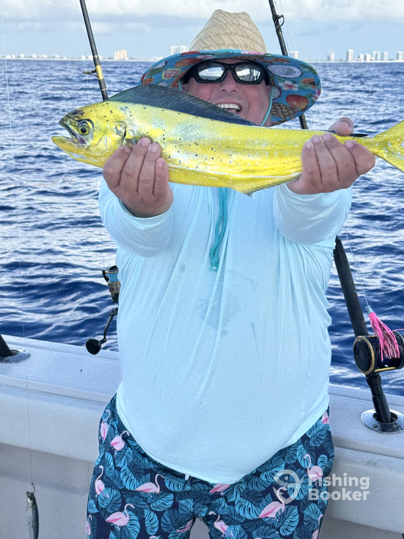 West Palm Beach Report Photo 0