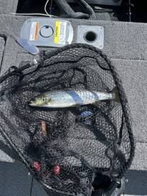 Hancock Report Photo 2