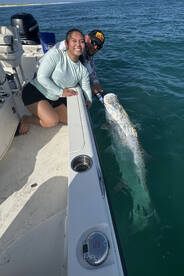 Tarpon bite has been fire!!!!!!