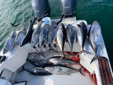 San Diego Report Photo 2