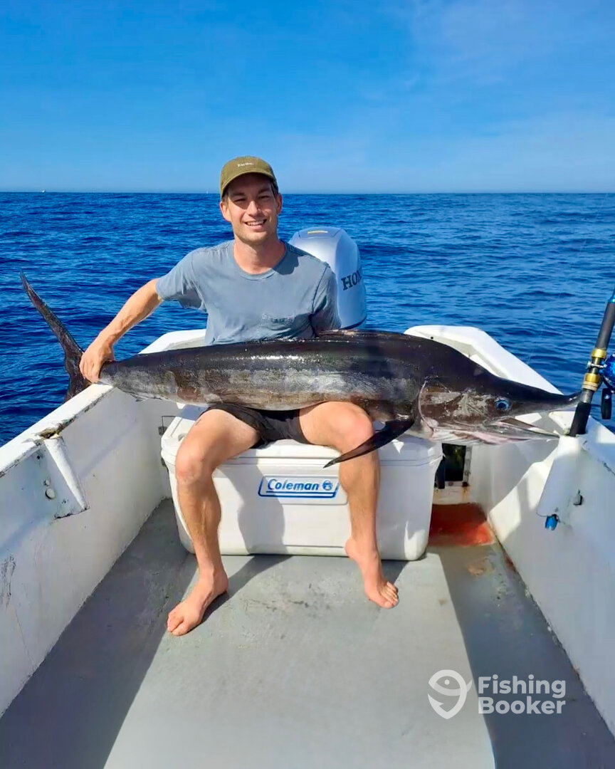 San Jose del Cabo Report Photo 0